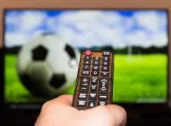 森林大乐透,期号专家推,分析质合及,BB贝博艾弗森,BB贝博艾弗森体育,BellBet,BB贝博艾弗森体育官网