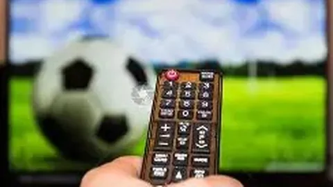 森林大乐透期号专家推荐：分析质合及前区十码球员表现